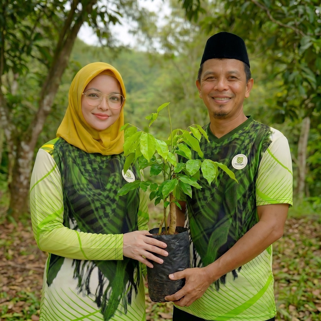 Bibit Angsana Cepat Tumbuh – Pohon Peneduh Rindang Cocok Taman & Jalan