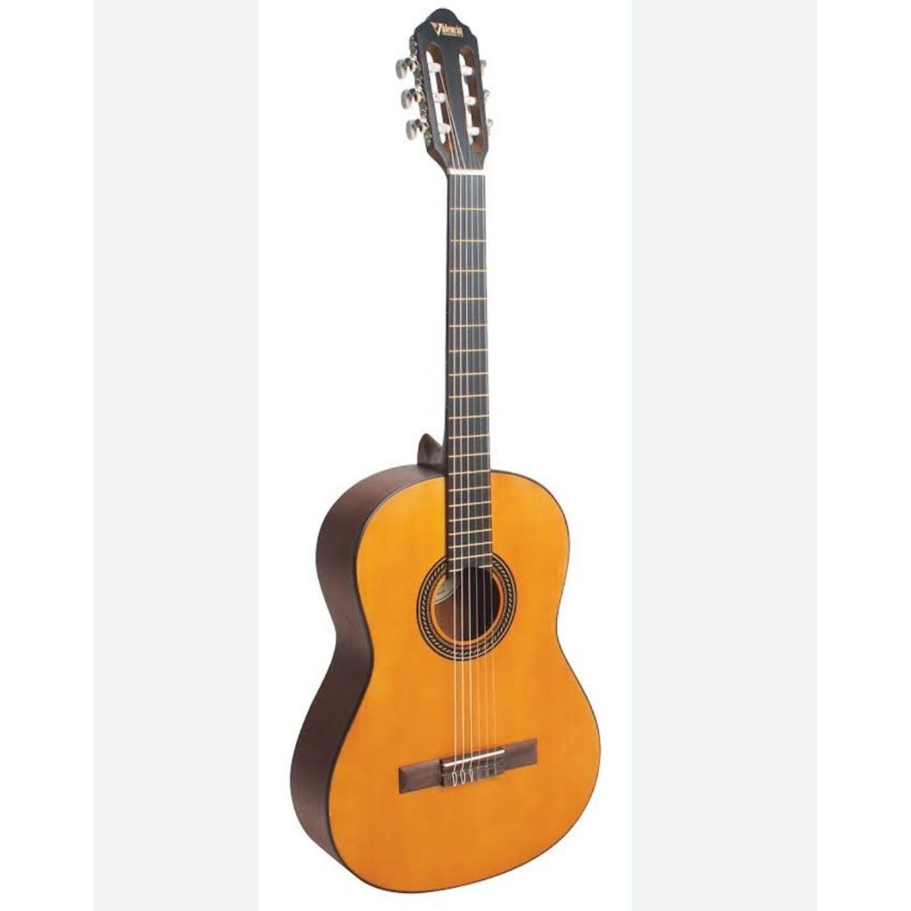 Gitar Valencia VC-204