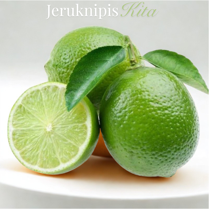 Jeruk Nipis 1kg Fresh Segar | Jeruk Nipis Peras Premium | Buah Segar Harian