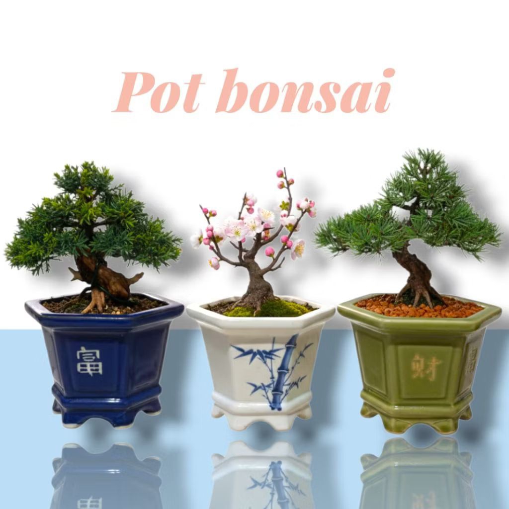 Pot bonsai keramik pot keramik bonsai shito pot tanaman hias