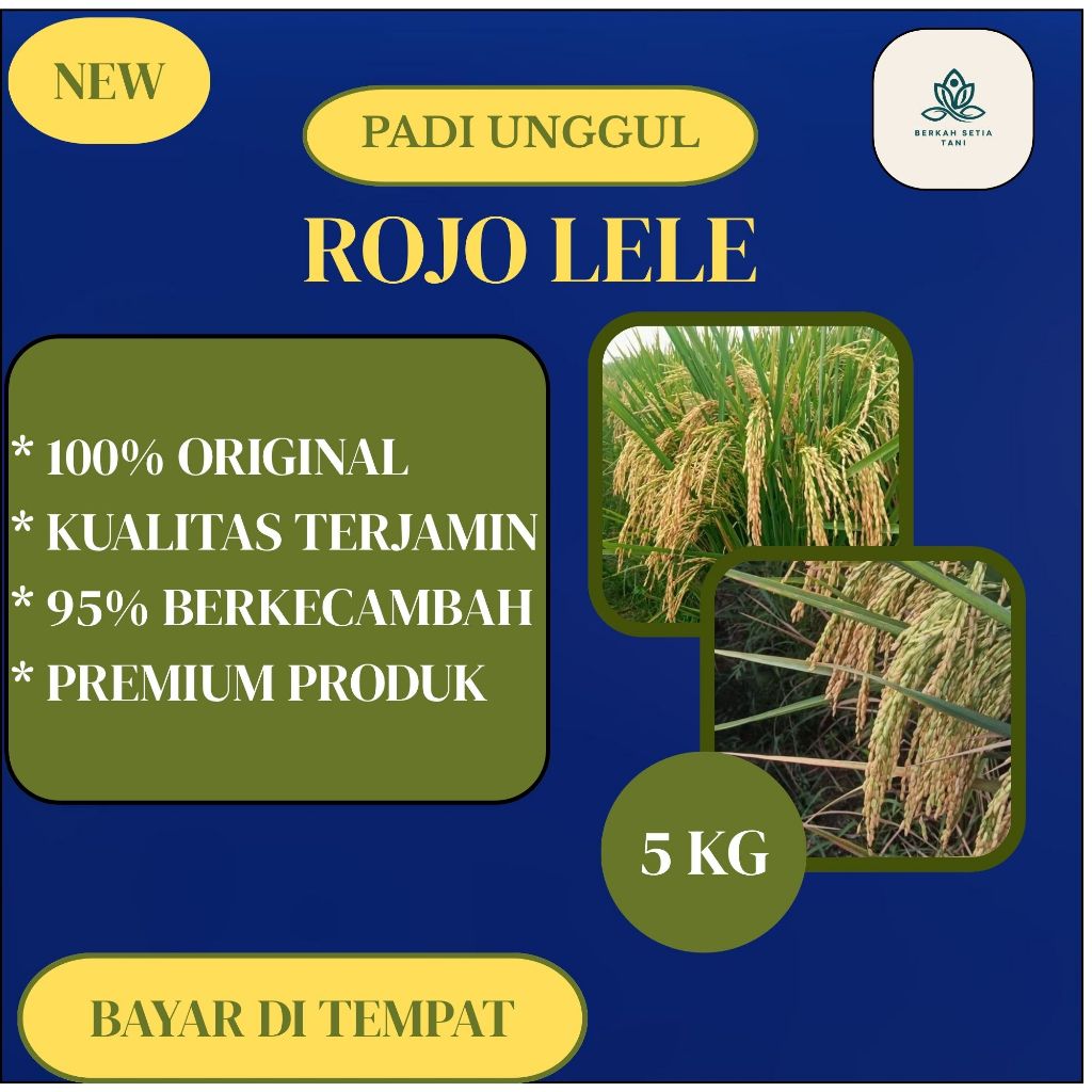 Benih Padi Unggul ROJOLELE SRINUK Kemasan 5Kg Kualitas Unggul