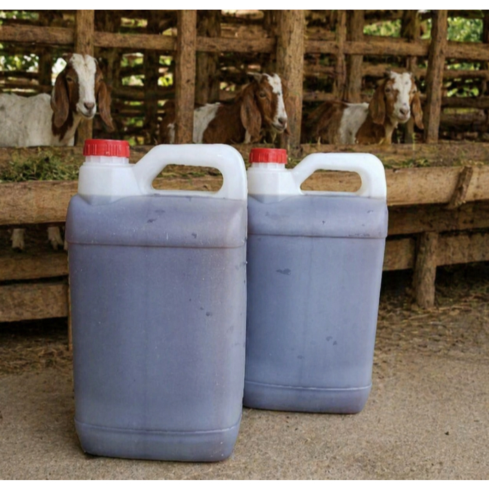 POC Urine Domba Kambing 5 Liter | Pupuk Organik Cair Serbaguna