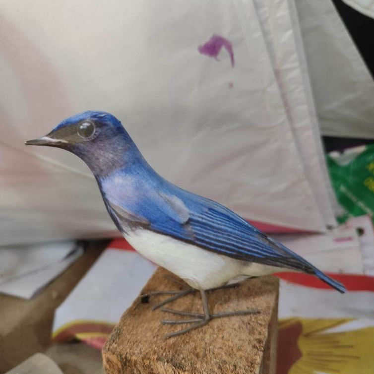 patung burung tledekan laut / jontrot manuk solendang biru / selendang laut