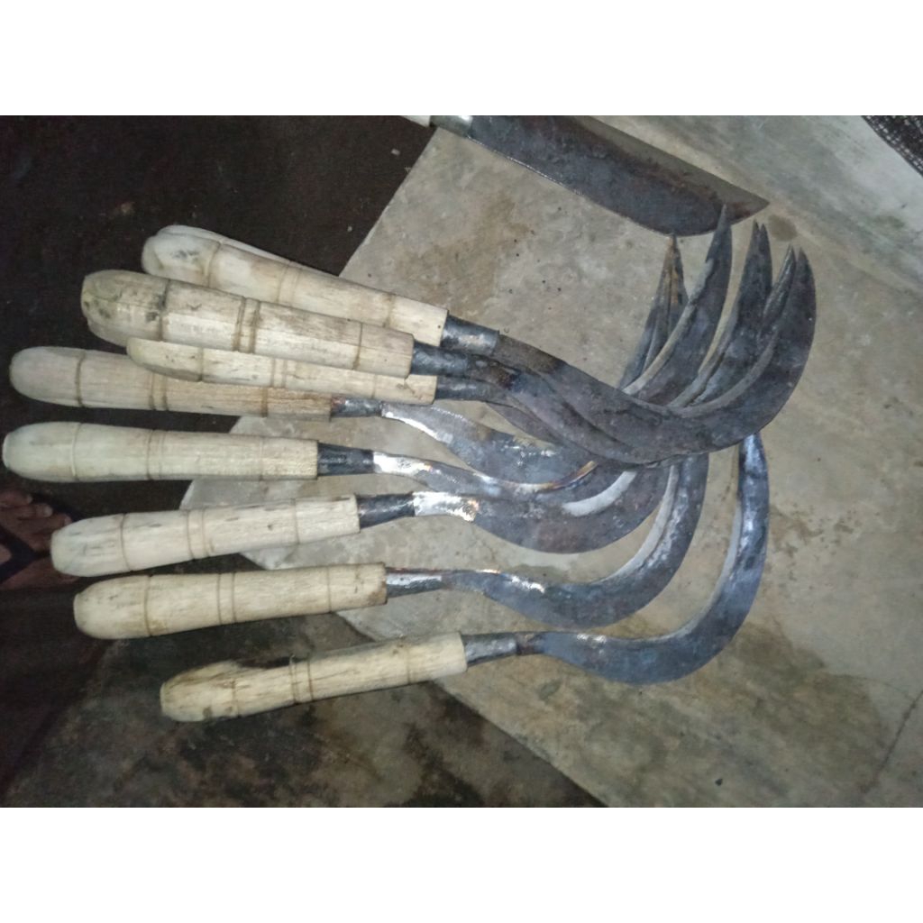 Arit anyih padi baja per asli Madura