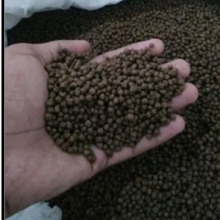 pakan ikan lele ukuran 2mm - tinggi protein, bagus untuk pembesaran