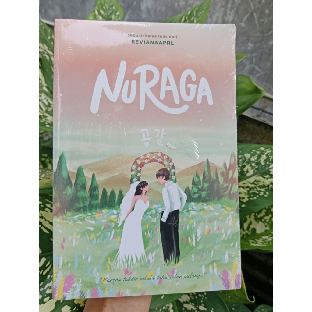 Novel Nuraga