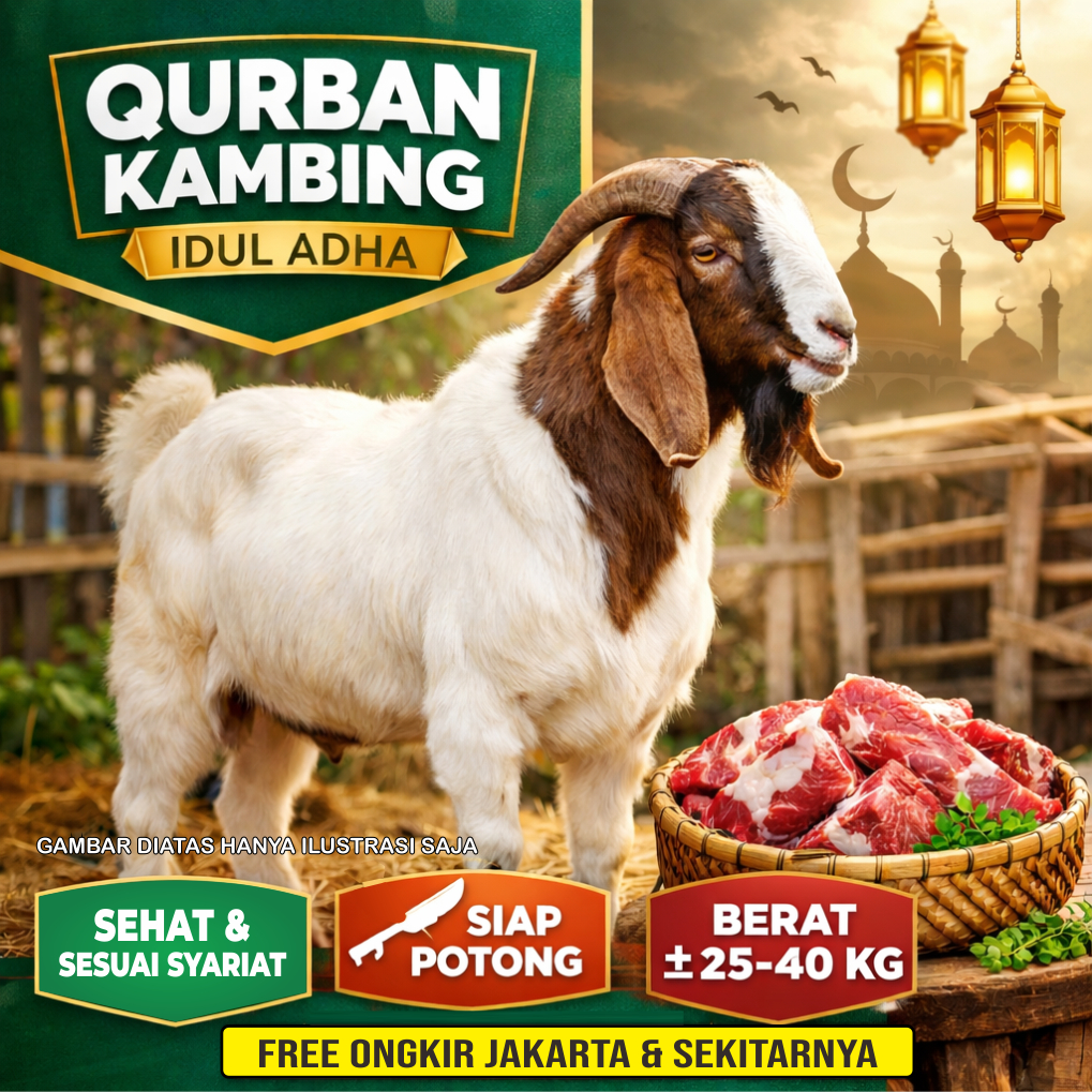 Kambing, Domba, Kambing Hidup, Domba Hidup, Kambing Kurban, Domba Kurban, Kambing Domba Kurban, Domb