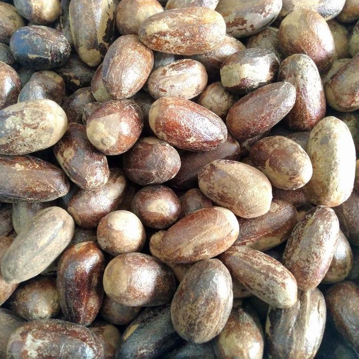 Biji Pala Kering utuh 500gr / Biji Pala Lonjong Kering