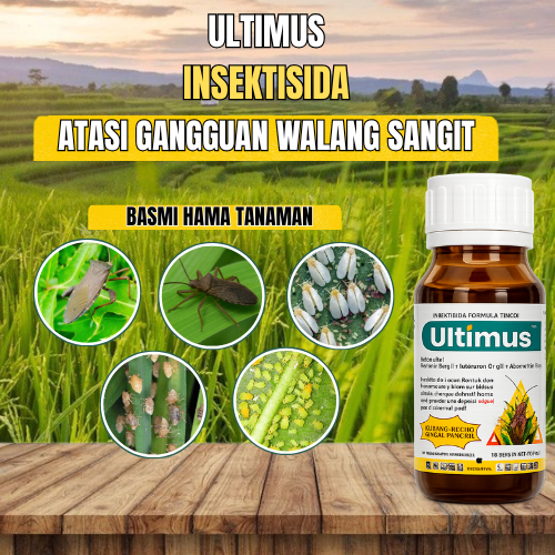 Insektisida Wereng Paling Ampuh Pengendali Wereng Walang Sangit Tanaman Padi isi 100 ml