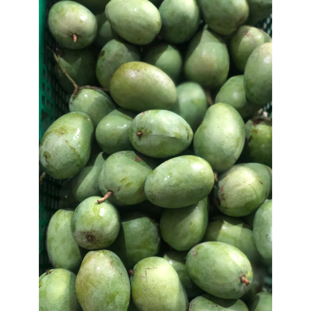 Mangga Madu 1 kg