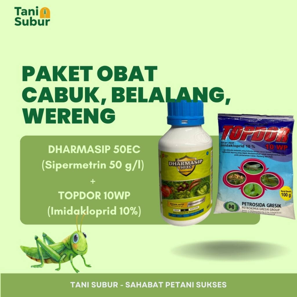 PAKET OBAT CABUK, BELALANG&WERENG DHARMASIP 50EC 400ML+ TOPDOR 10WP 100GR - INSEKTISIDA
