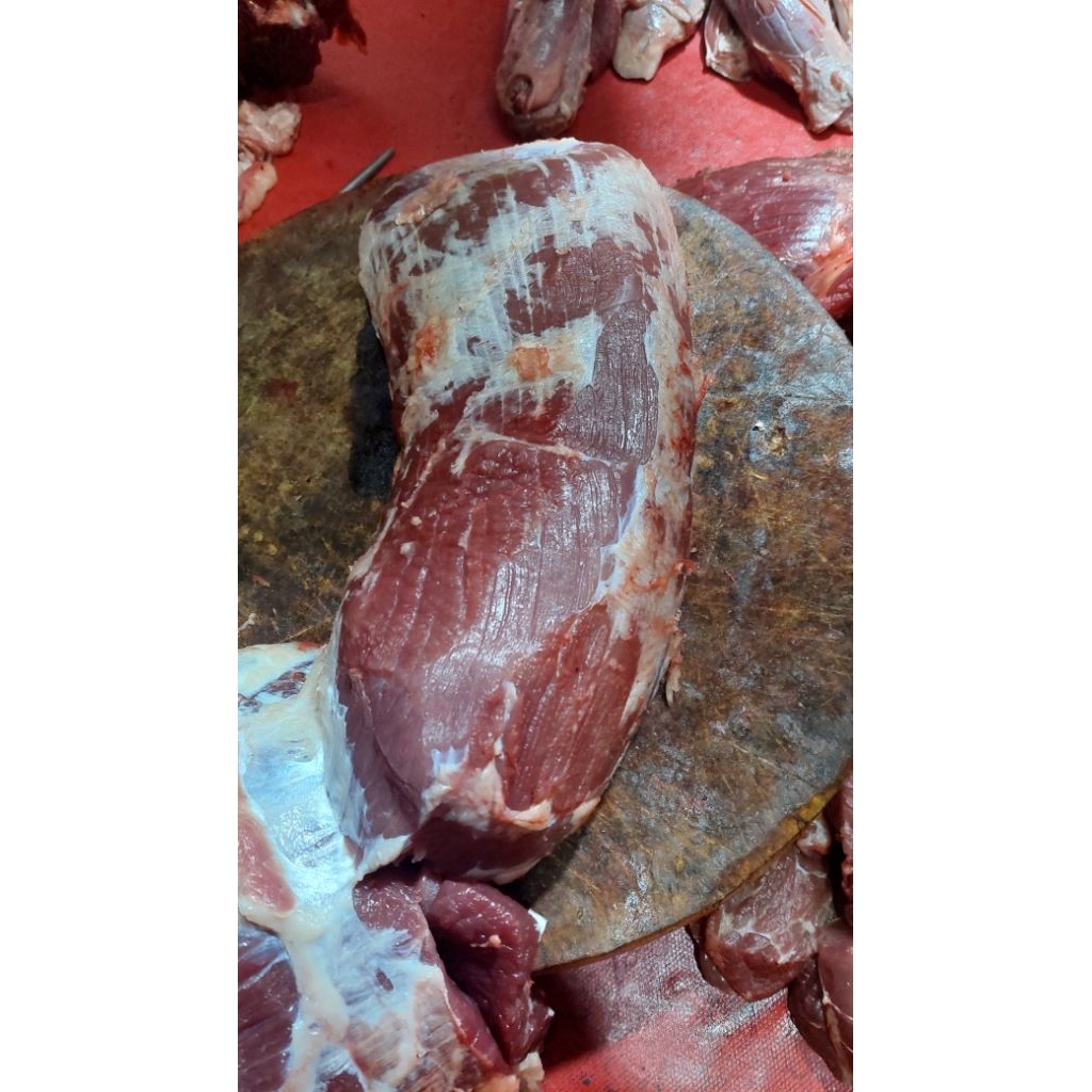 Daging Gandik Sapi Lokal Fresh