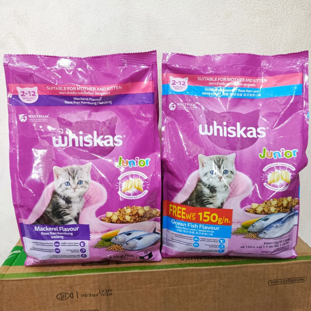 Whiskas junior Makanan Kucing Kering 1,1 kg Makanan Kucing Whiskas Oceanfish Mackarel