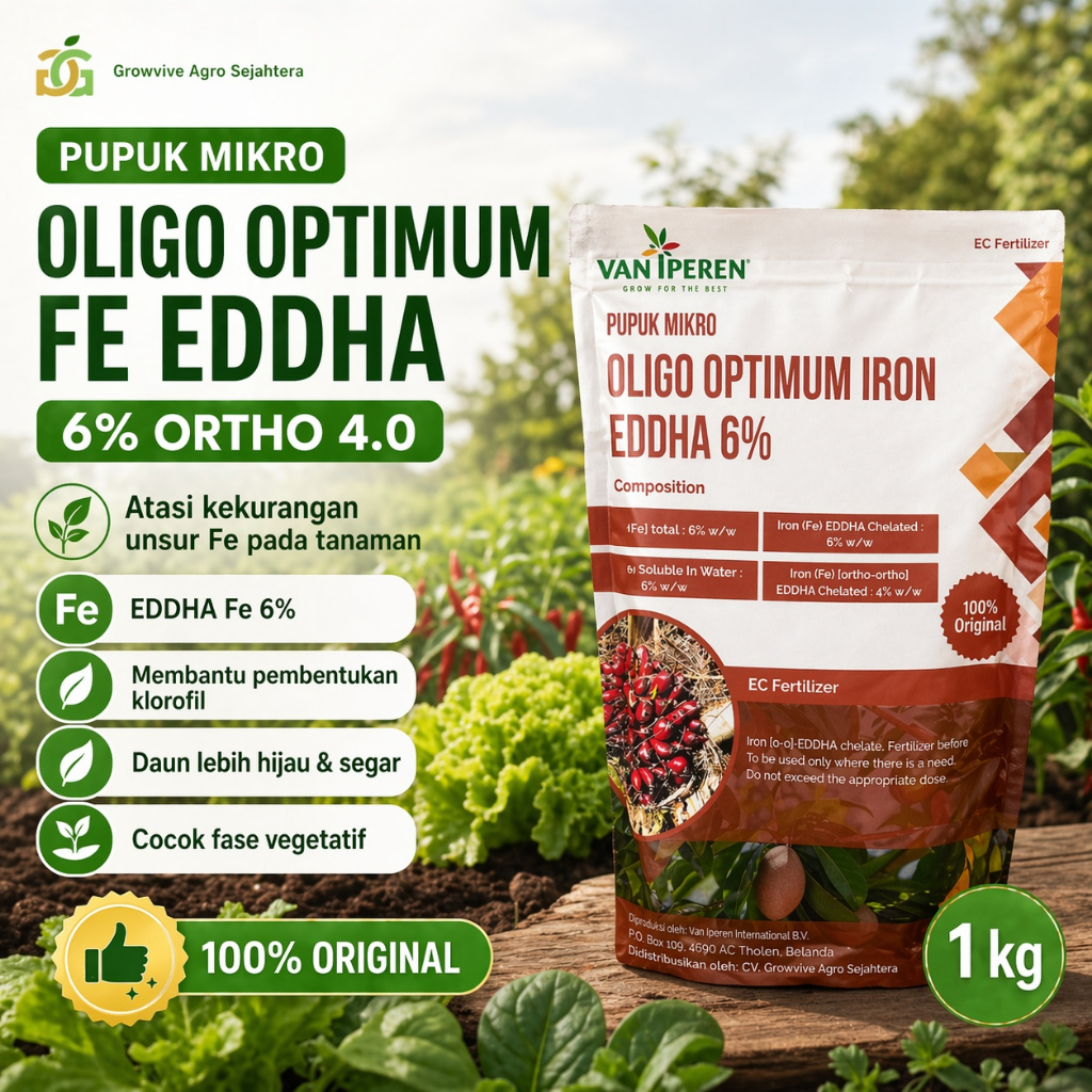 Pupuk Oligo Optimum Fe EDDHA 6% Ortho 4 (Berat 1Kg)