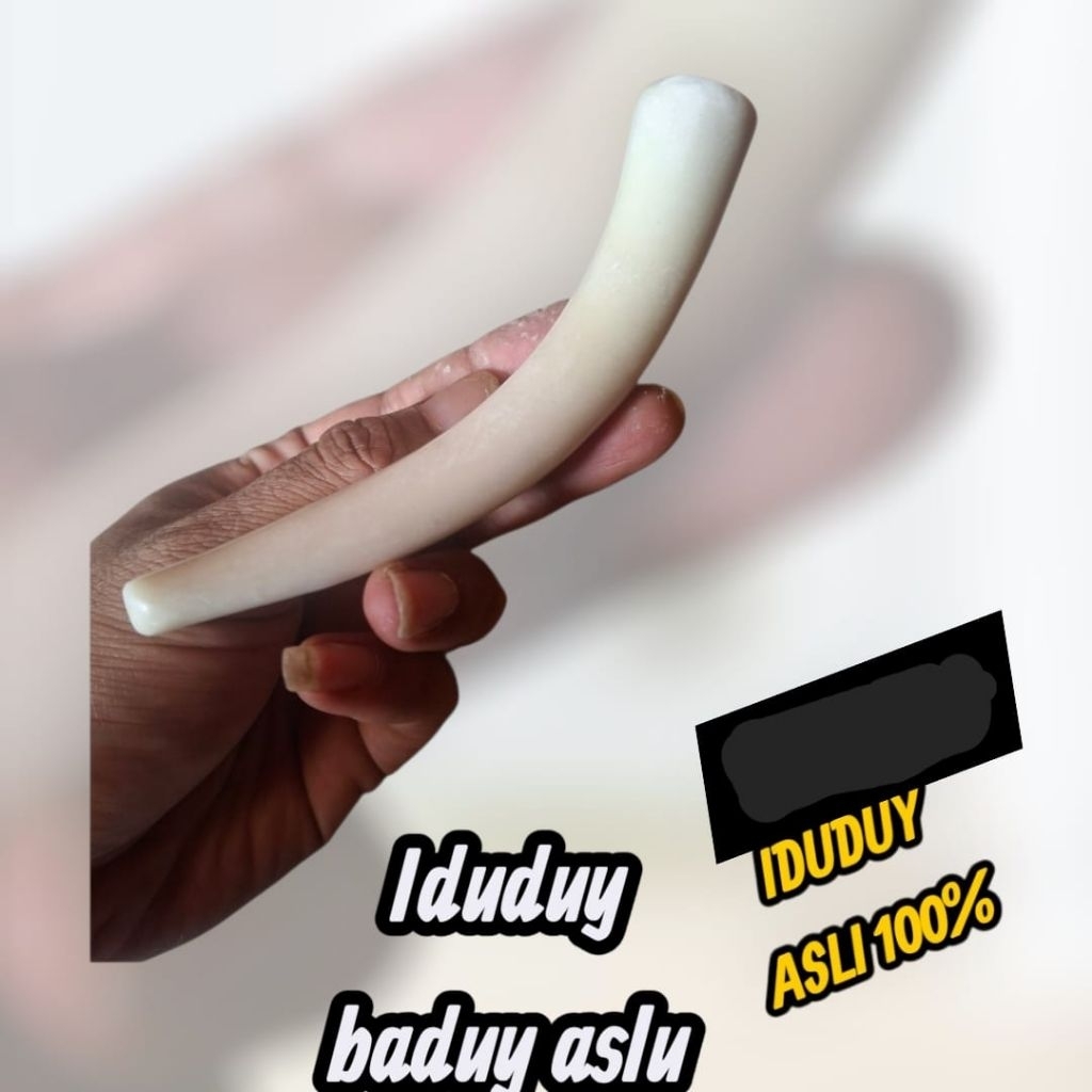 alat penghisap asap baduduy asli