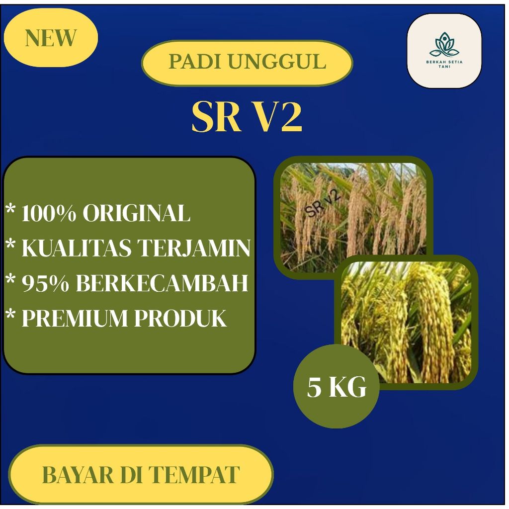 BENIH PADI GENJAH SR V2