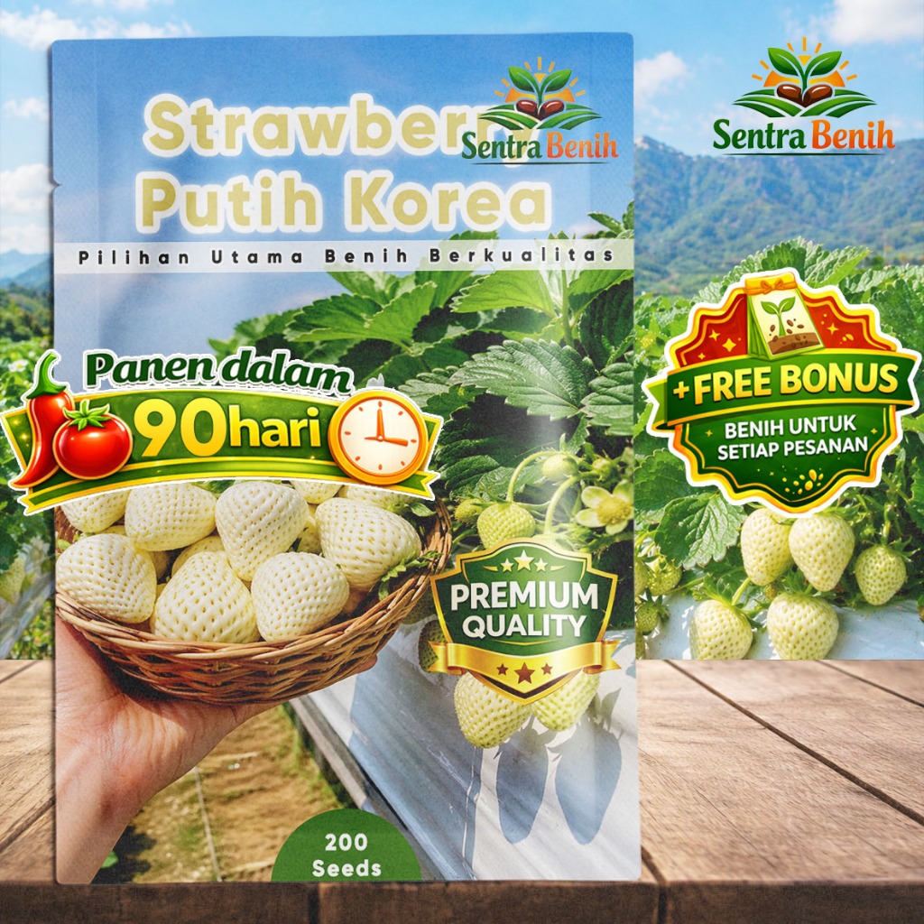 [FRESHPACK] Benih Strawberry Putih Korea Unggul Isi 200 Biji - Strawberry White Korea Manis