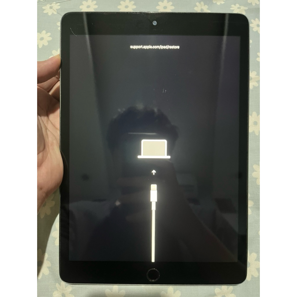 iPad Gen 9 256GB WiFi Only ex iBox - Recovery Mode Stuck