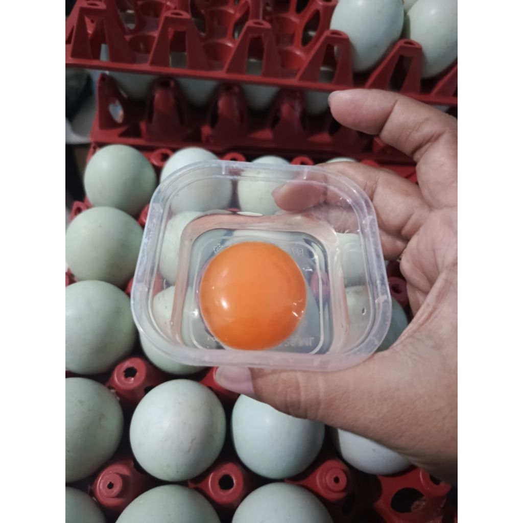 Telur bebek omega