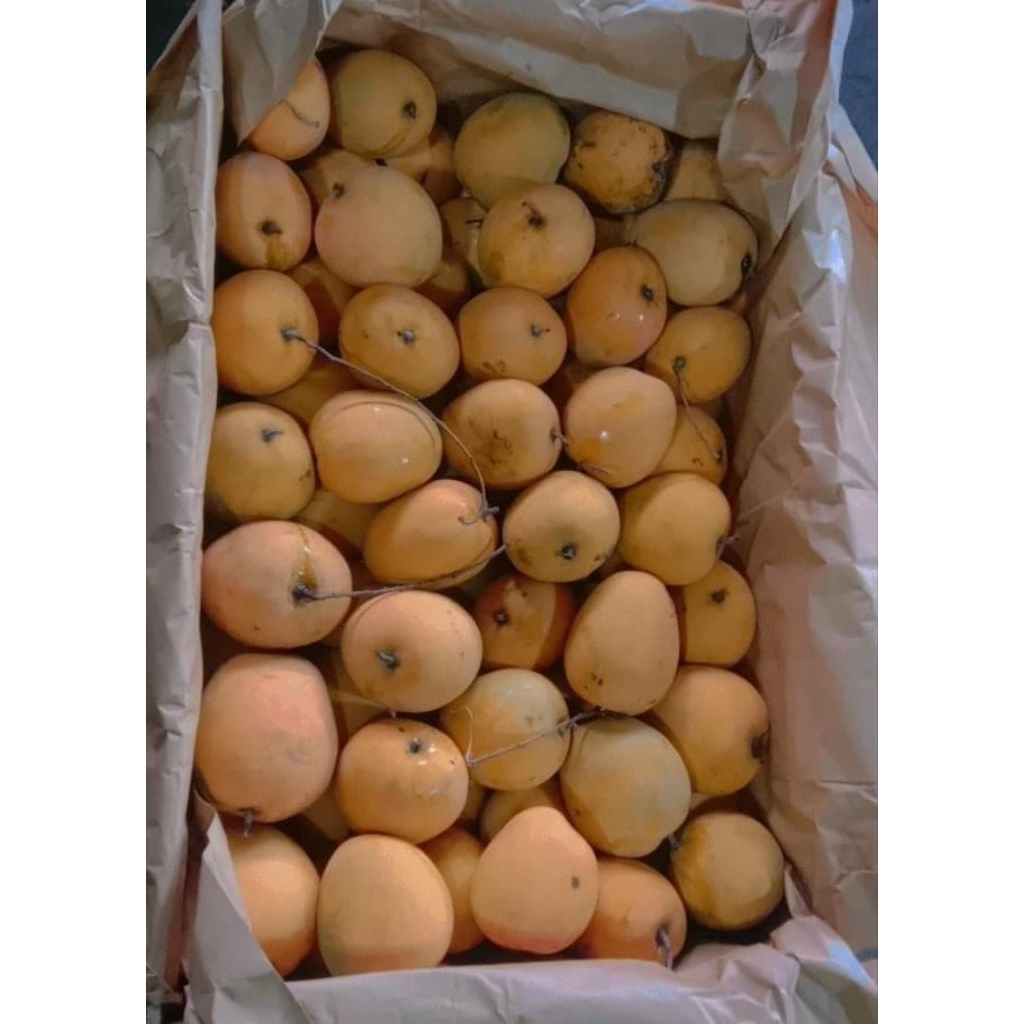 Mangga Gedong