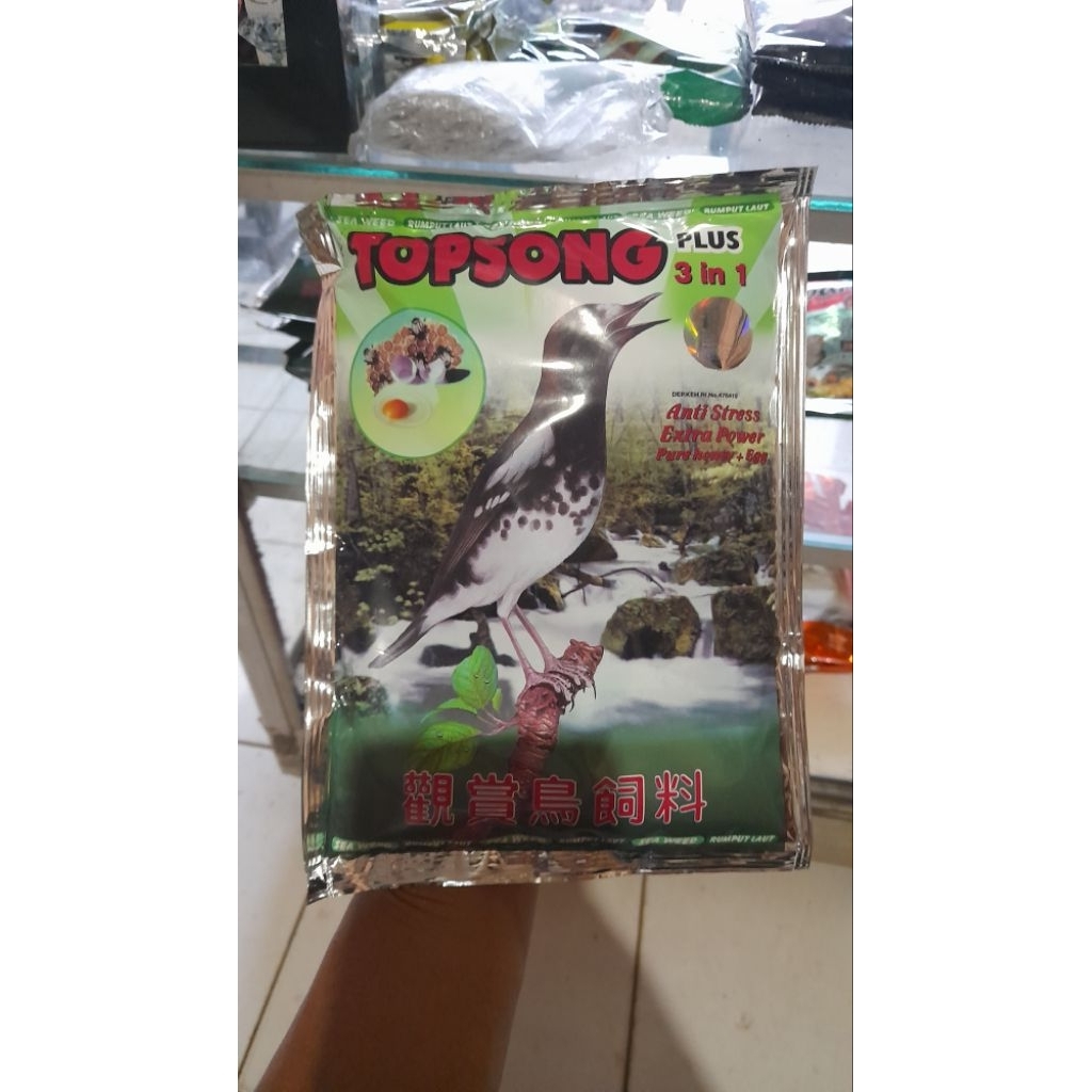 topsong coklat