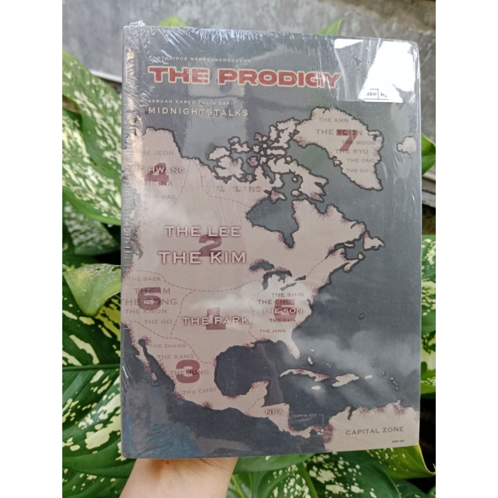 Novel Fantasi-The Prodigy