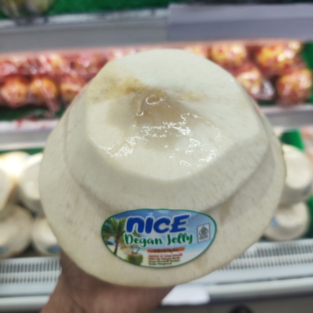 Kelapa puding new- nice degan jelly segar pcs