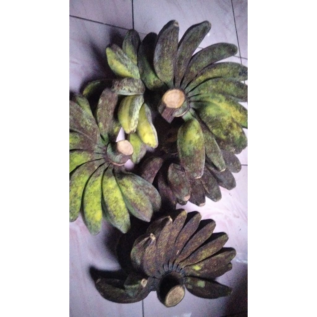pisang kepok merah