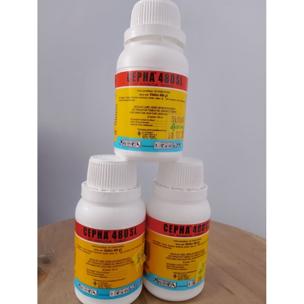 CEPHA 480 SL 100ML