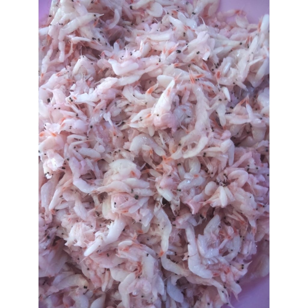 Hakoi/Hekoi/Cincalok Udang Pontianak 1kg