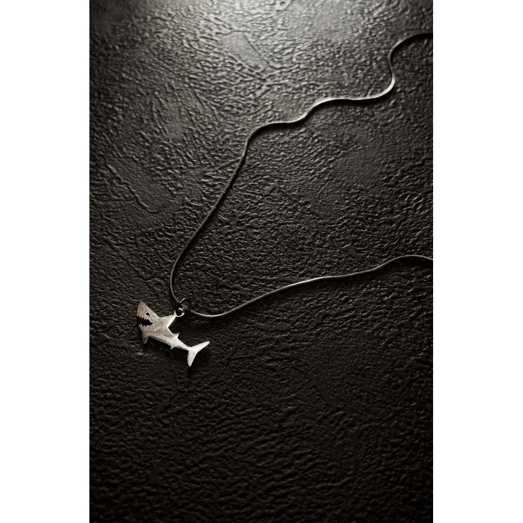 kalung titanium anti karat / kalung pria / kalung  pria