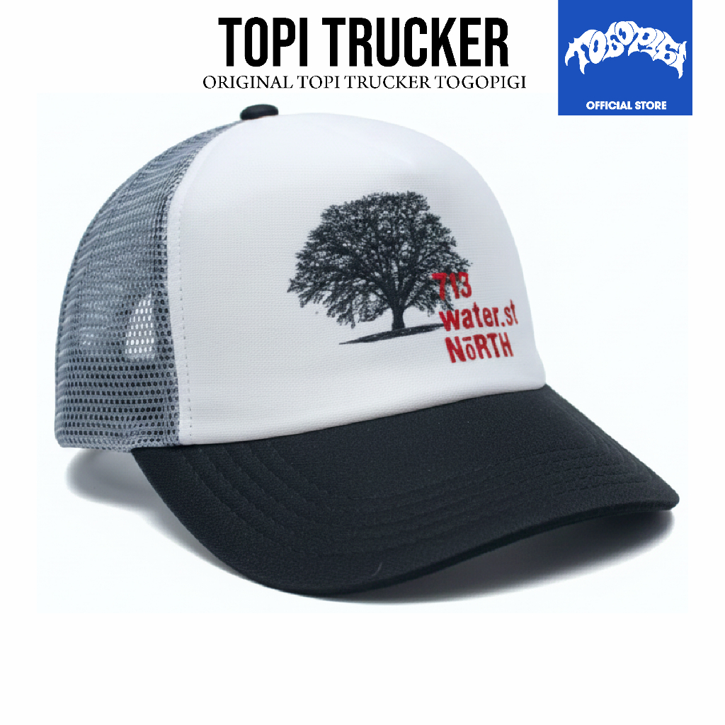 TOGOPIGI - Topi Trucker - North Water