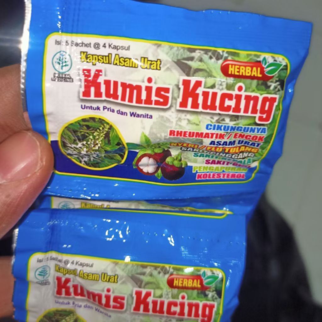 herbal kapsul kumis kucing