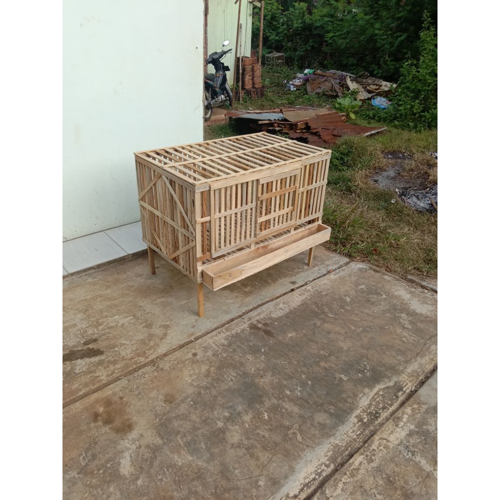 kandang ayam pembesaran bahan full kayu jati