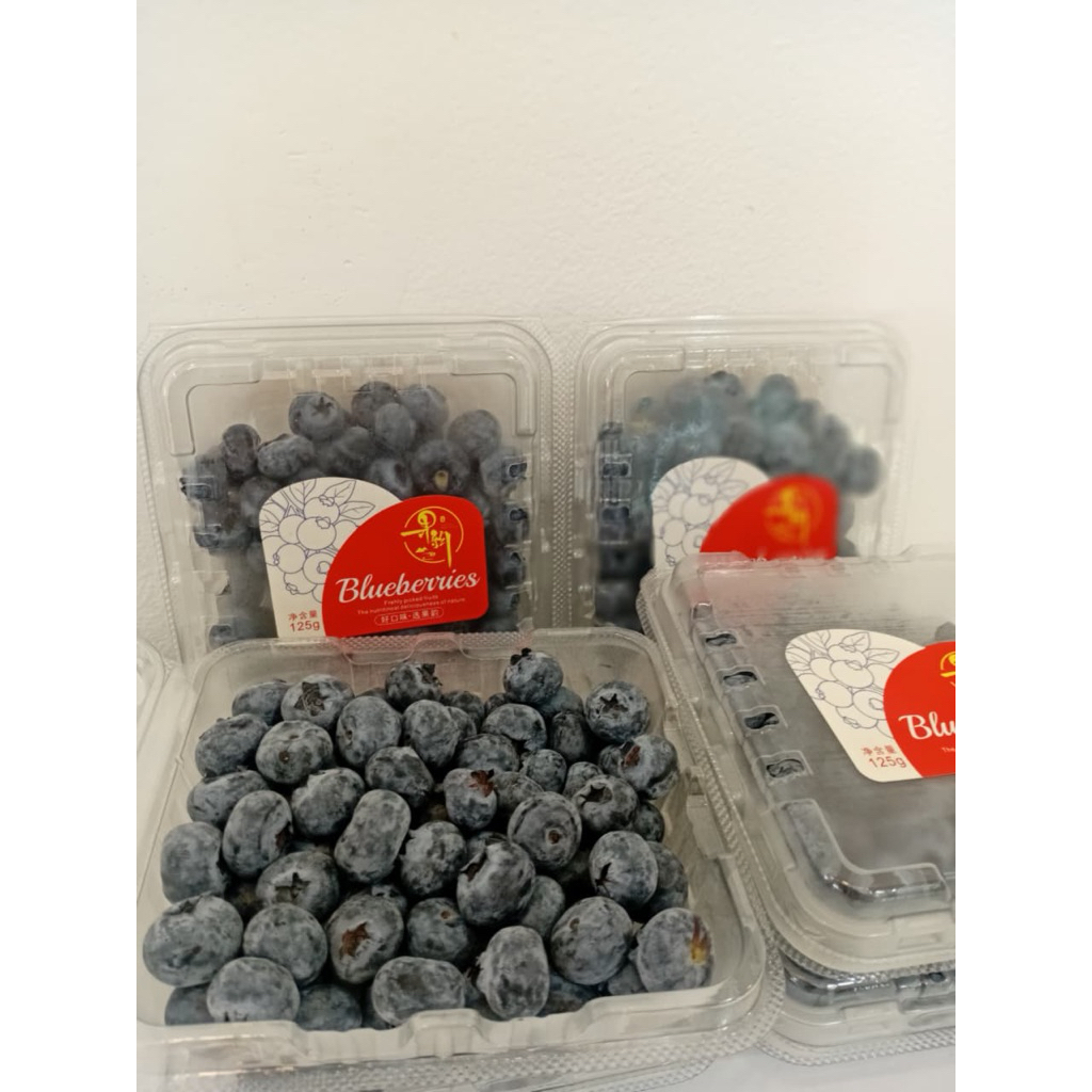 blueberry fresh import premium