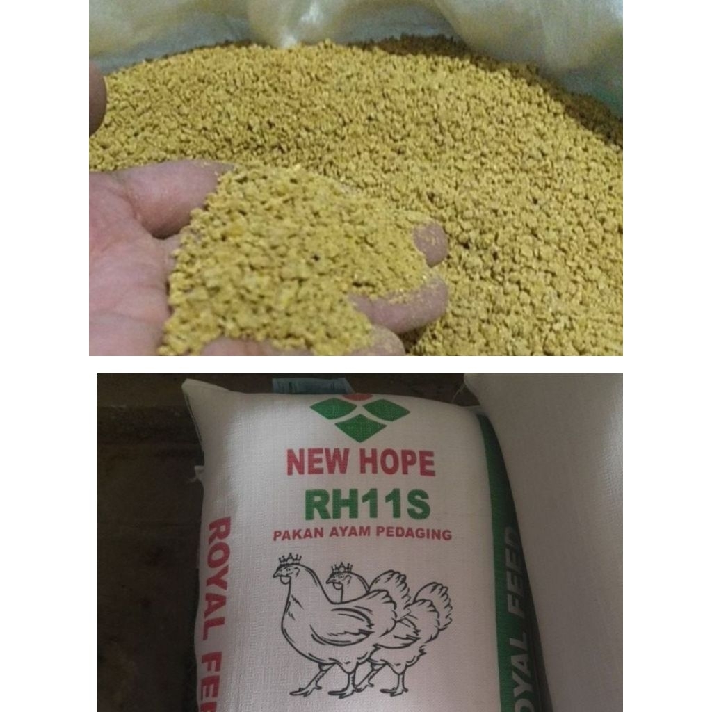 Pakan Ayam New Hope