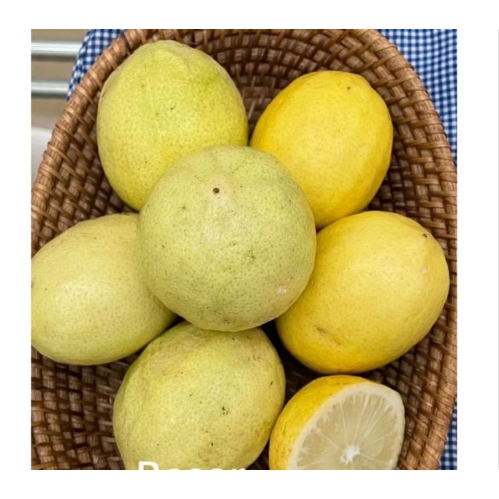 jeruk lemon lokal segar /jeruk lemon 1 kg/jeruk lemon untuk dietdan konsumsi kesehatan