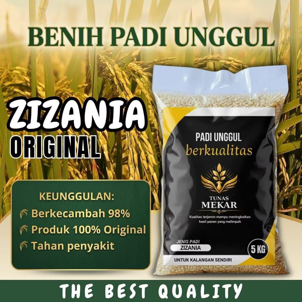 benih padi unggul ZIZANIA original kemasan 5kg