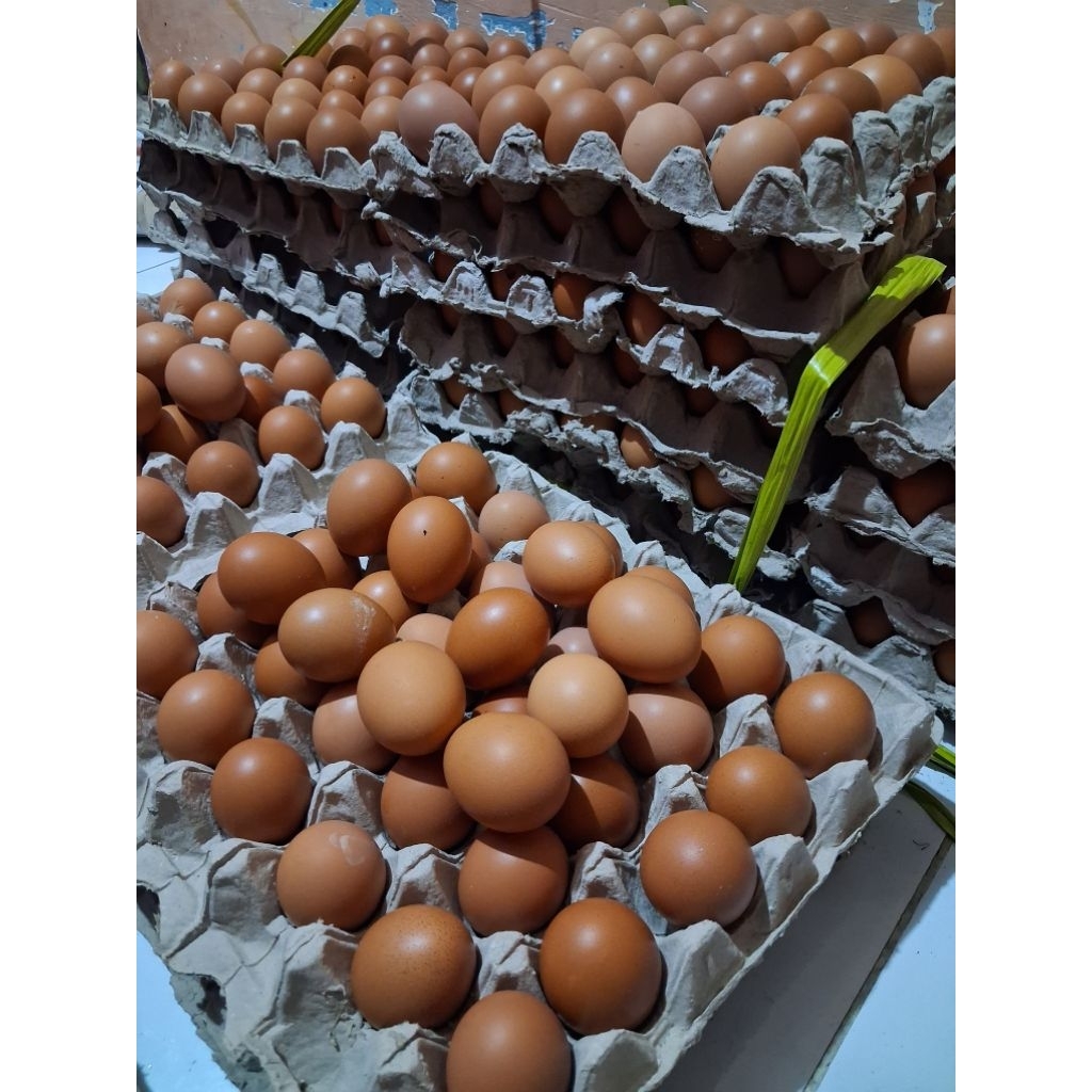 TELUR AYAM NEGRI 1KG