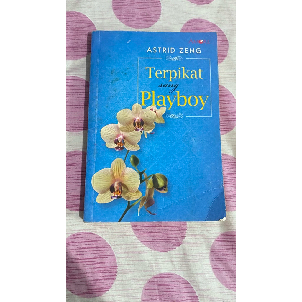 preloved novel teenlit