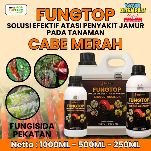 Obat Bercak Daun Cabe Merah / Obat Daun Keriting / Obat Jamur Akar Cabe Merah Keriting / Fungisida P