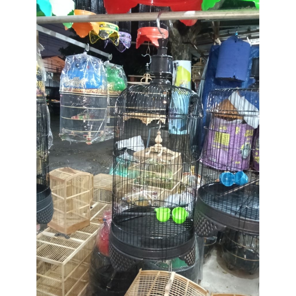 SANGKAR BESI LOVEBIRD