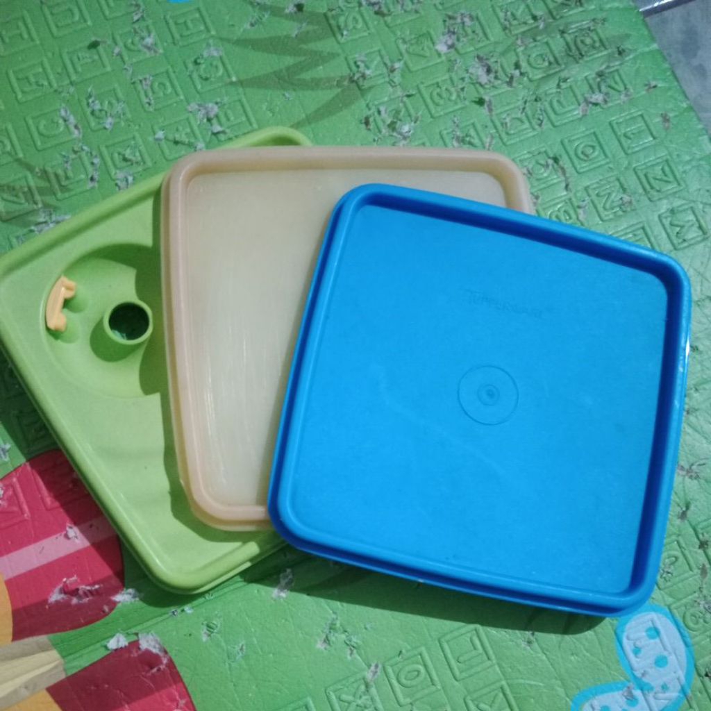 PERTUTUPAN SECOND RANTANG CARRY ALL TUPPERWARE