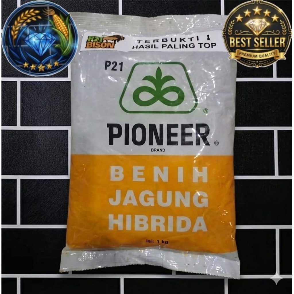 Benih Jagung Hibrida PIONEER P21 BISON Kemasan 1kg ORRIGINAL.