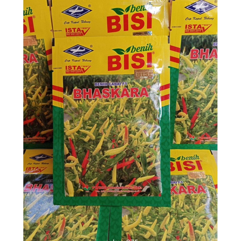 BENIH CABE RAWIT BHASKARA F1 10 GRAM