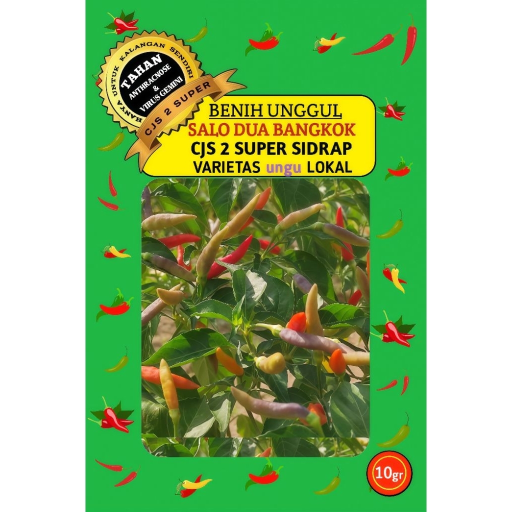 Benih Cabe Ungu Lokal Bangkok CJS 2 SUPER SIDRAP Kemasan 10gram