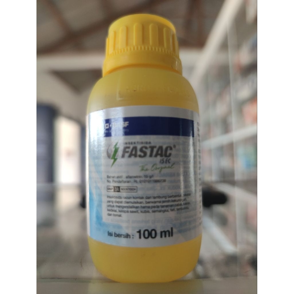 fastac kecil