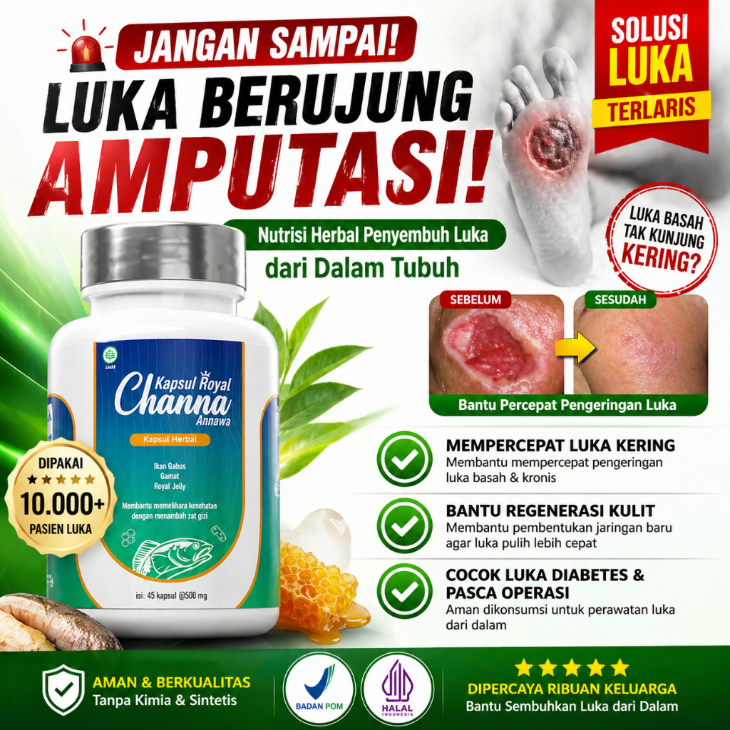 Pengering Luka Pasca Operasi Luka Diabetes Luka Basah Jahitan Kapsul Ikan Gabus Premium