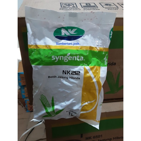Benih Jagung Hibrida NK SUMO SAKTI 5 Kg - Bibit Jagung Sumo Sakti Tahan Glifosat dari Syngenta