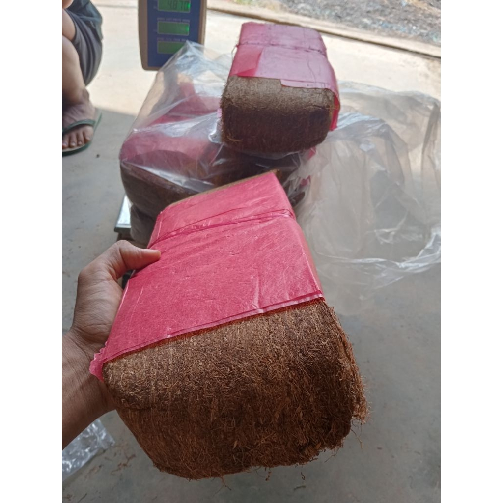 tambeng jenis krepek 2023 top super lawas